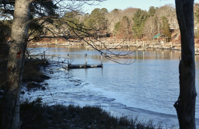 Discover the Natural Wonders of Mashpee River Woodlands